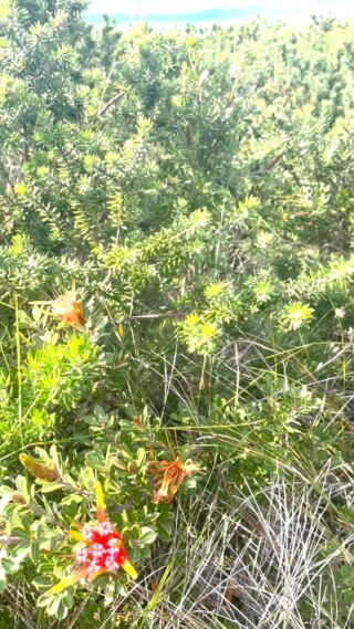 We're open this long weekend online and in store. Have a great time off, get out there and enjoy Australia!
.
Check out Road Tech Marine online at:
https://www.roadtechmarine.com.au/
.
#longweekend #greatoutdoors